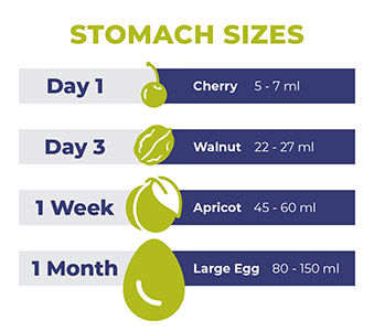 Baby_Stomach_Sizes_Infographic_SM.jpg