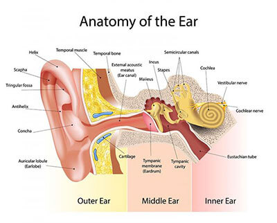 hearing-loss-graphic.jpg