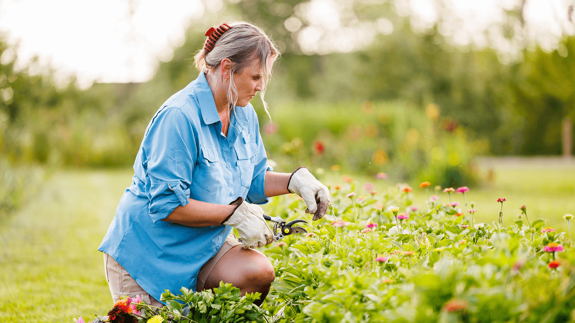 middle aged woman kneeling an pruning a plant outdoors